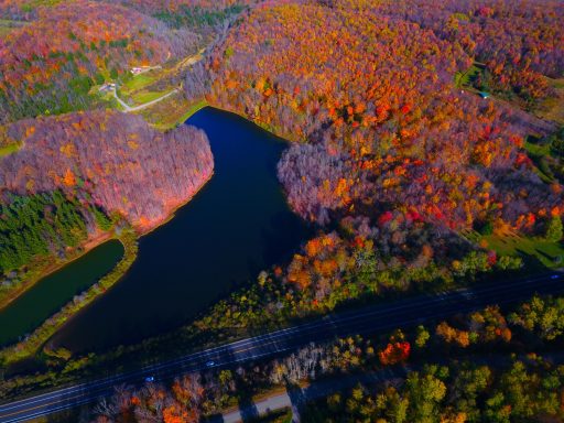 219 near Ellicottville, NY