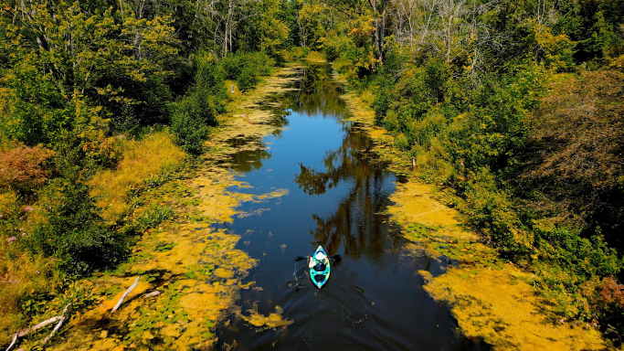A person kayaking on a serene river surrounded by lush greenery and autumn foliage.